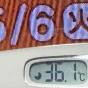 ヒメ日記 2025/05/06 08:05 投稿 加保(ひまわりの約束) おふくろさん 名古屋本店