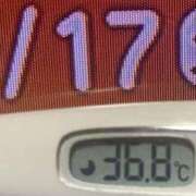 ヒメ日記 2025/05/17 10:02 投稿 加保(ひまわりの約束) おふくろさん 名古屋本店