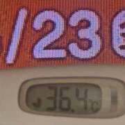 ヒメ日記 2025/05/23 08:55 投稿 加保(ひまわりの約束) おふくろさん 名古屋本店