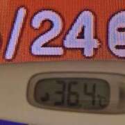 ヒメ日記 2025/05/24 12:52 投稿 加保(ひまわりの約束) おふくろさん 名古屋本店