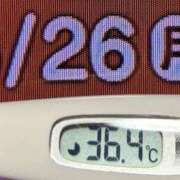 ヒメ日記 2025/05/26 08:25 投稿 加保(ひまわりの約束) おふくろさん 名古屋本店