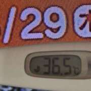 ヒメ日記 2025/05/29 08:59 投稿 加保(ひまわりの約束) おふくろさん 名古屋本店