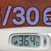 ヒメ日記 2025/05/30 08:30 投稿 加保(ひまわりの約束) おふくろさん 名古屋本店