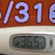 ヒメ日記 2025/05/31 09:11 投稿 加保(ひまわりの約束) おふくろさん 名古屋本店