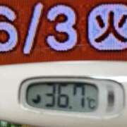 ヒメ日記 2025/06/03 08:31 投稿 加保(ひまわりの約束) おふくろさん 名古屋本店