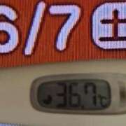 ヒメ日記 2025/06/07 08:40 投稿 加保(ひまわりの約束) おふくろさん 名古屋本店