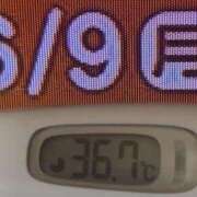 ヒメ日記 2025/06/09 08:56 投稿 加保(ひまわりの約束) おふくろさん 名古屋本店