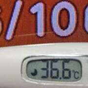 ヒメ日記 2025/06/10 09:10 投稿 加保(ひまわりの約束) おふくろさん 名古屋本店