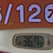 ヒメ日記 2025/06/12 08:26 投稿 加保(ひまわりの約束) おふくろさん 名古屋本店