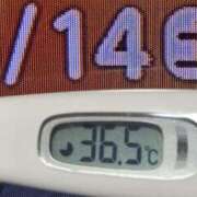 ヒメ日記 2025/06/14 09:26 投稿 加保(ひまわりの約束) おふくろさん 名古屋本店