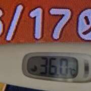 ヒメ日記 2025/06/17 12:23 投稿 加保(ひまわりの約束) おふくろさん 名古屋本店