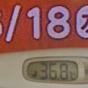 ヒメ日記 2025/06/18 09:10 投稿 加保(ひまわりの約束) おふくろさん 名古屋本店
