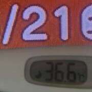 ヒメ日記 2025/06/21 08:13 投稿 加保(ひまわりの約束) おふくろさん 名古屋本店