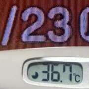 ヒメ日記 2025/06/23 07:36 投稿 加保(ひまわりの約束) おふくろさん 名古屋本店