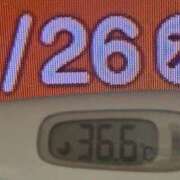 ヒメ日記 2025/06/26 08:12 投稿 加保(ひまわりの約束) おふくろさん 名古屋本店