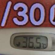 ヒメ日記 2025/06/30 08:41 投稿 加保(ひまわりの約束) おふくろさん 名古屋本店