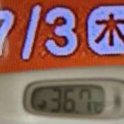 ヒメ日記 2025/07/03 08:08 投稿 加保(ひまわりの約束) おふくろさん 名古屋本店