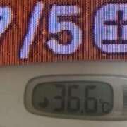 ヒメ日記 2025/07/05 08:34 投稿 加保(ひまわりの約束) おふくろさん 名古屋本店