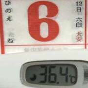 ヒメ日記 2025/07/06 08:55 投稿 加保(ひまわりの約束) おふくろさん 名古屋本店
