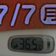 ヒメ日記 2025/07/07 08:27 投稿 加保(ひまわりの約束) おふくろさん 名古屋本店