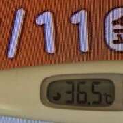 ヒメ日記 2025/07/11 08:39 投稿 加保(ひまわりの約束) おふくろさん 名古屋本店