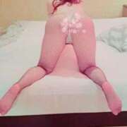 ヒメ日記 2025/07/12 21:06 投稿 加保(ひまわりの約束) おふくろさん 名古屋本店