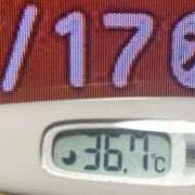 ヒメ日記 2025/07/17 08:29 投稿 加保(ひまわりの約束) おふくろさん 名古屋本店