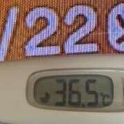 ヒメ日記 2025/07/22 08:20 投稿 加保(ひまわりの約束) おふくろさん 名古屋本店