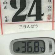 ヒメ日記 2025/07/24 08:30 投稿 加保(ひまわりの約束) おふくろさん 名古屋本店