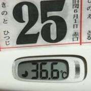 ヒメ日記 2025/07/25 08:31 投稿 加保(ひまわりの約束) おふくろさん 名古屋本店