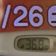 ヒメ日記 2025/07/26 08:50 投稿 加保(ひまわりの約束) おふくろさん 名古屋本店