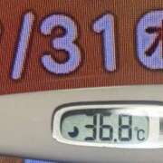 ヒメ日記 2025/07/31 10:06 投稿 加保(ひまわりの約束) おふくろさん 名古屋本店