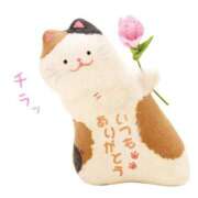 ヒメ日記 2025/07/31 22:27 投稿 加保(ひまわりの約束) おふくろさん 名古屋本店