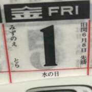 ヒメ日記 2025/08/01 10:52 投稿 加保(ひまわりの約束) おふくろさん 名古屋本店