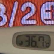 ヒメ日記 2025/08/02 08:13 投稿 加保(ひまわりの約束) おふくろさん 名古屋本店