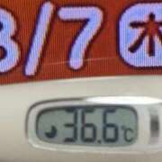 ヒメ日記 2025/08/07 08:20 投稿 加保(ひまわりの約束) おふくろさん 名古屋本店