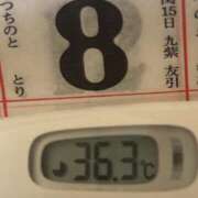 ヒメ日記 2025/08/08 09:36 投稿 加保(ひまわりの約束) おふくろさん 名古屋本店