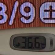 ヒメ日記 2025/08/09 08:22 投稿 加保(ひまわりの約束) おふくろさん 名古屋本店