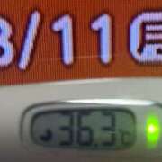 ヒメ日記 2025/08/11 08:32 投稿 加保(ひまわりの約束) おふくろさん 名古屋本店