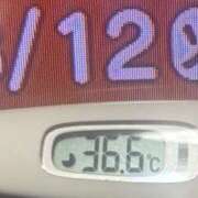 ヒメ日記 2025/08/12 08:15 投稿 加保(ひまわりの約束) おふくろさん 名古屋本店