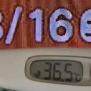 ヒメ日記 2025/08/16 08:00 投稿 加保(ひまわりの約束) おふくろさん 名古屋本店