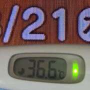 ヒメ日記 2025/08/21 09:40 投稿 加保(ひまわりの約束) おふくろさん 名古屋本店