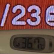 ヒメ日記 2025/08/23 08:34 投稿 加保(ひまわりの約束) おふくろさん 名古屋本店