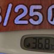 ヒメ日記 2025/08/25 08:39 投稿 加保(ひまわりの約束) おふくろさん 名古屋本店