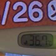 ヒメ日記 2025/08/26 08:21 投稿 加保(ひまわりの約束) おふくろさん 名古屋本店