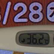 ヒメ日記 2025/08/28 08:47 投稿 加保(ひまわりの約束) おふくろさん 名古屋本店