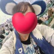 ヒメ日記 2025/08/28 08:54 投稿 加保(ひまわりの約束) おふくろさん 名古屋本店