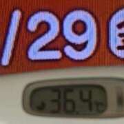 ヒメ日記 2025/08/29 08:45 投稿 加保(ひまわりの約束) おふくろさん 名古屋本店