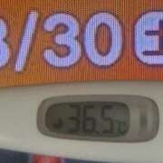 ヒメ日記 2025/08/30 07:38 投稿 加保(ひまわりの約束) おふくろさん 名古屋本店