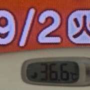 ヒメ日記 2025/09/02 08:28 投稿 加保(ひまわりの約束) おふくろさん 名古屋本店
